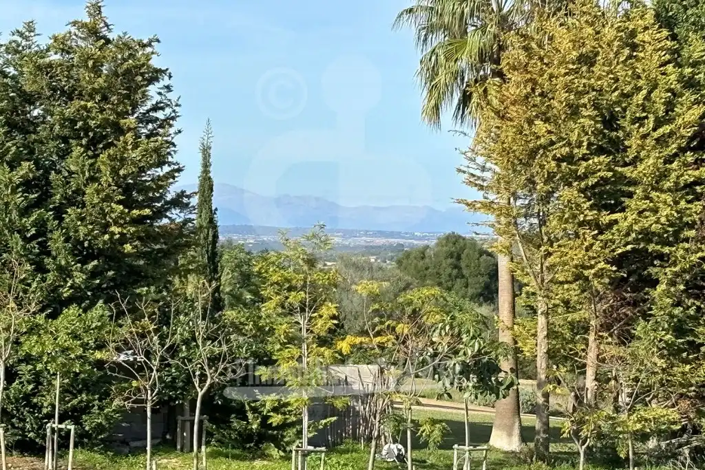 Casa rústica con terraza en venta en Felanitx Poble, imagen 24