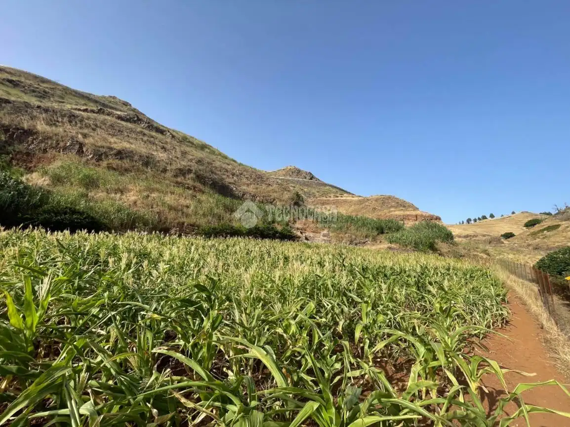 Terreno en venta en Gáldar