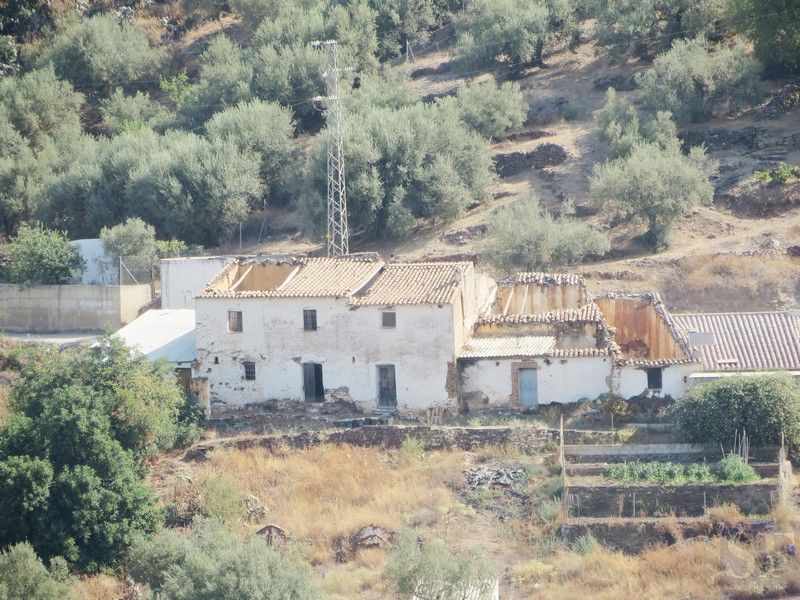 Exterior view of Country house for sale in Sayalonga