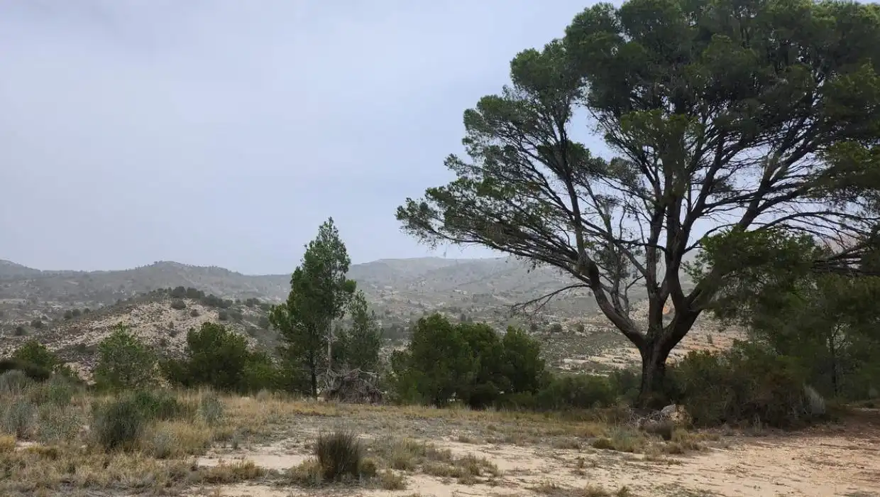 Terrenys i solars en venda a Tibi, imagen 11