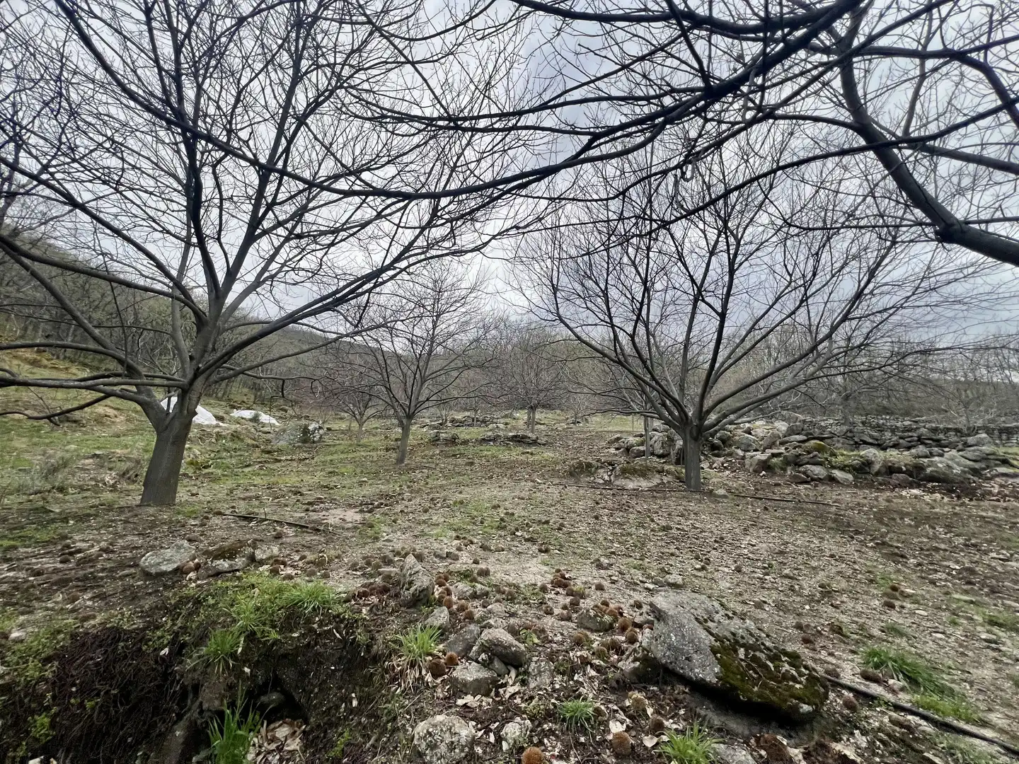 Grundstücke zum Verkauf in Garganta la Olla