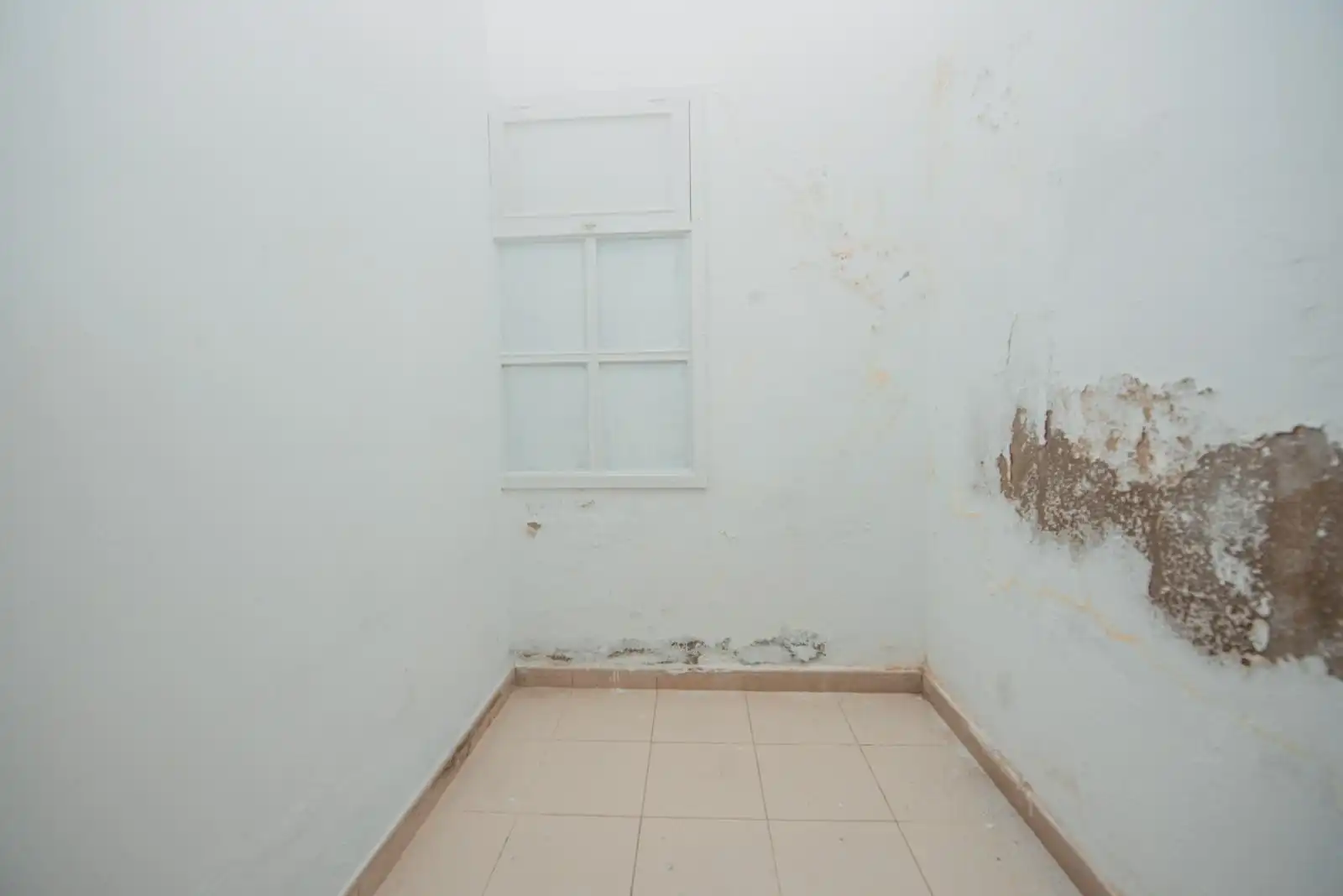 Local comercial en alquiler en Calle SAN BERNARDO, imagen 35