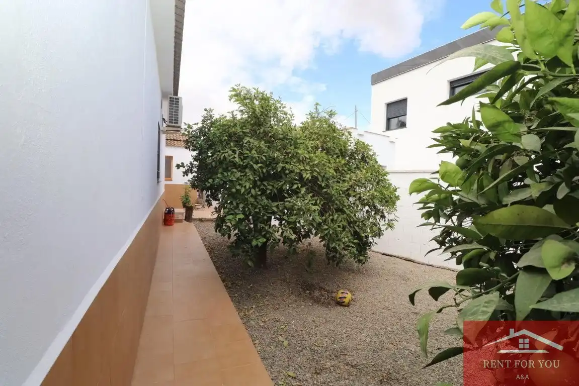 Casa con piscina en alquiler en Centro, imagen 8