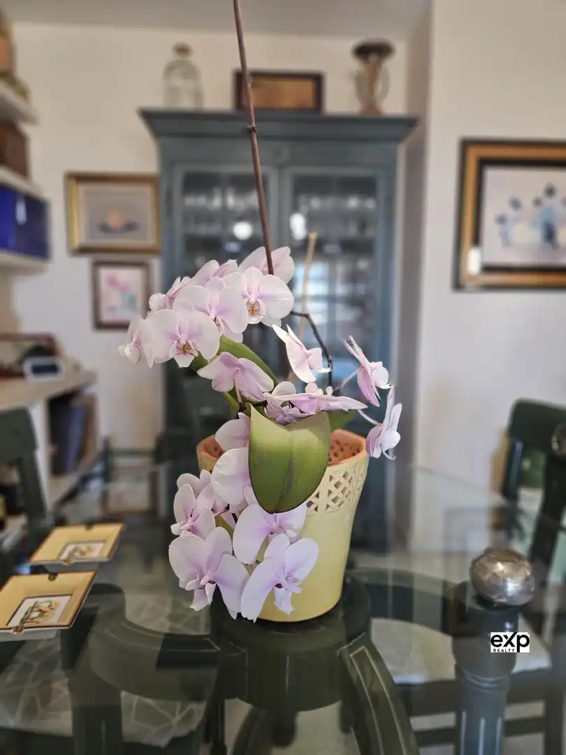 Flat for sale in Fuengirola  with Air Conditioner, Swimming Pool and Furnished