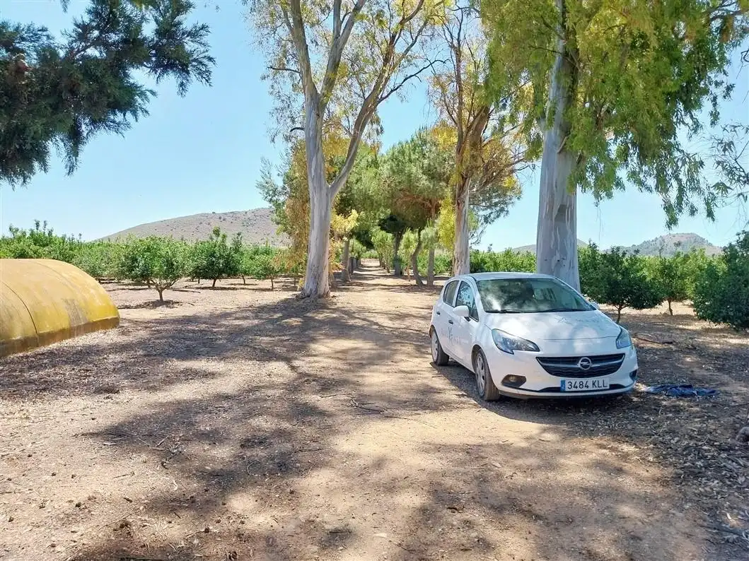 Casa amb jardí en venda a 30334 1, imagen 34