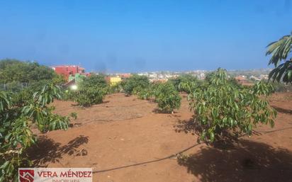 Finca rústica en venda en Tacoronte