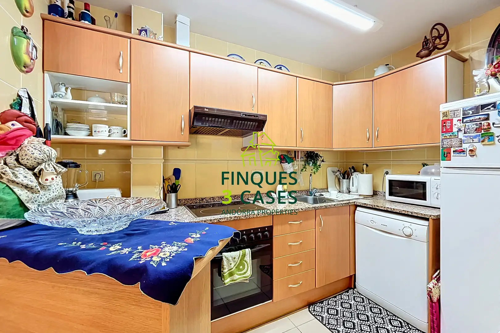 Flat with lift to rent in Carretera dels Cortals d'Encamp, imagen 13
