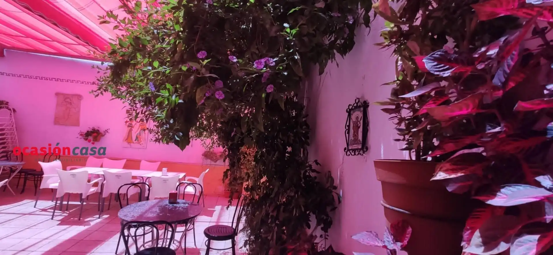 Local comercial en venta en Peñarroya-Pueblonuevo, imagen 9