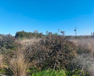 Land for sale in Beniarbeig