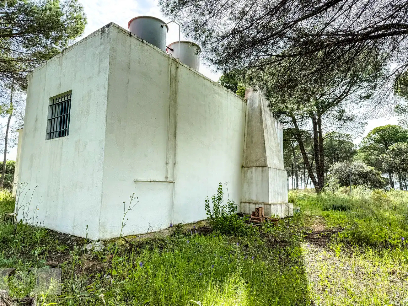 Vista exterior de Finca rústica en venda en Lepe