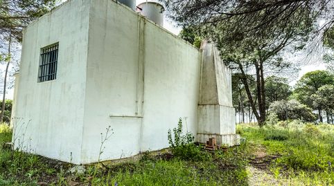 Foto 4 de Finca rústica en venta en Plaza Casablanca, Lepe, Huelva