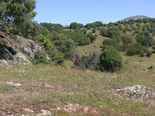 Lands and plots for sale in M-104 FINCA LA ENCINILLA (JUNQUER), imagen 5