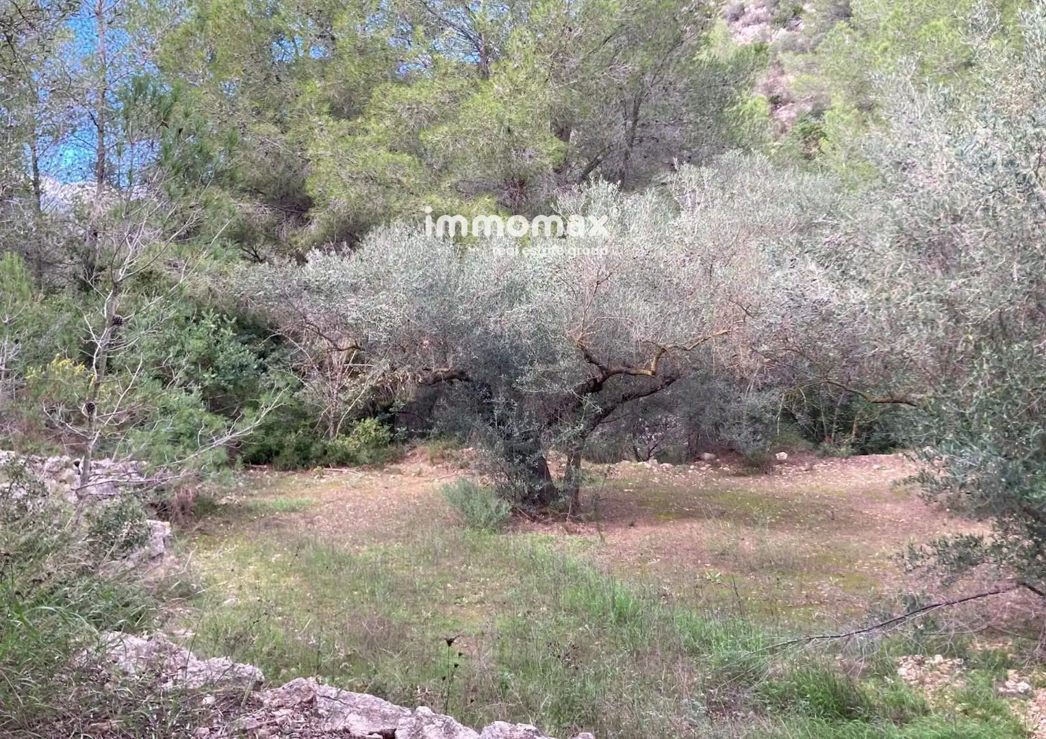 Terrain rustique à vendre à Bítem, imagen 19