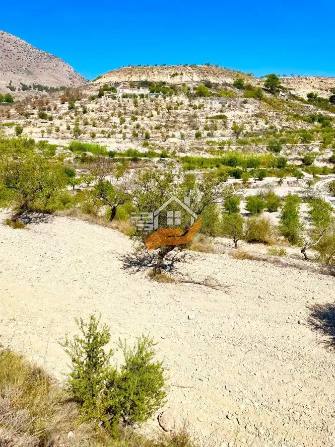 Lands and plots for sale in Vélez-Blanco, imagen 6