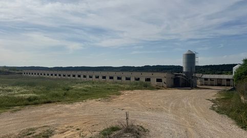 Valderrobres-Granja de cerdos con licencia, immagine 4