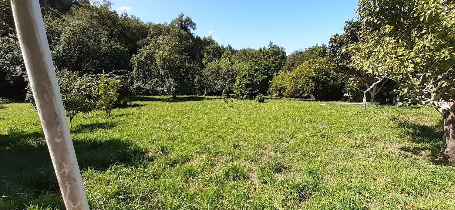 Gewerbefläche zum Verkauf in Peroja, Piñeiro, imagen 3