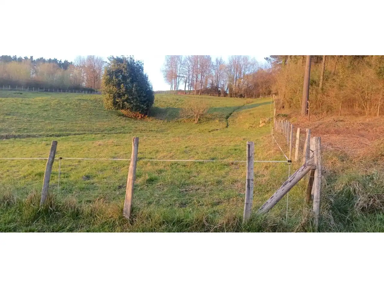 Wohnung zum Verkauf in Amorebieta-Etxano, imagen 13