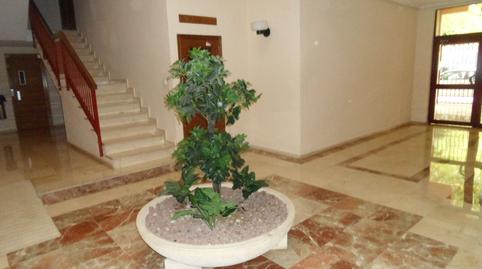 Foto 2 de Pis de lloguer a Avenida Sevilla, Centro, San Vicente del Raspeig / Sant Vicent del Raspeig