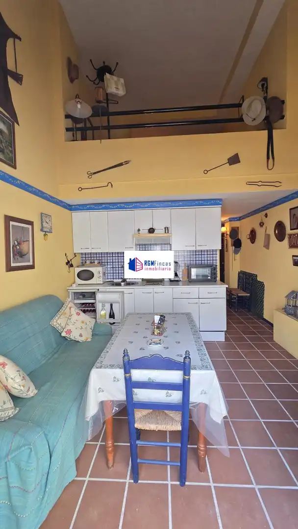 Duplex con terrazza in vendita a El Rocío, imagen 6