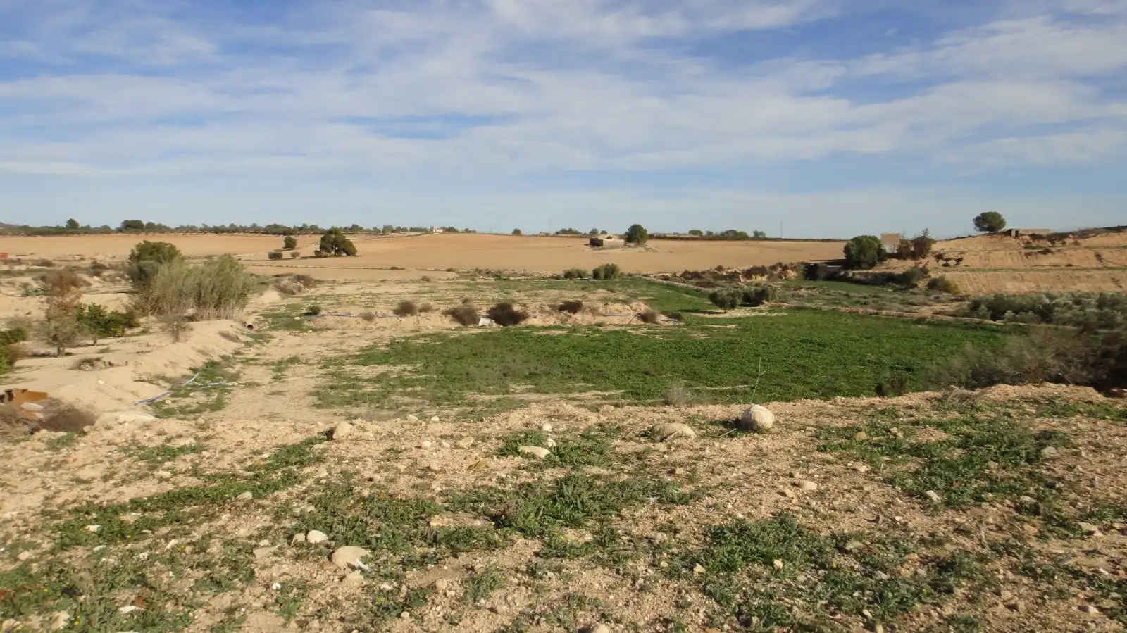 Terreno rustico in vendita a Campo de Murcia, imagen 12