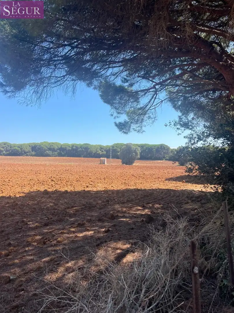 Residential for sale in Vejer de la Frontera