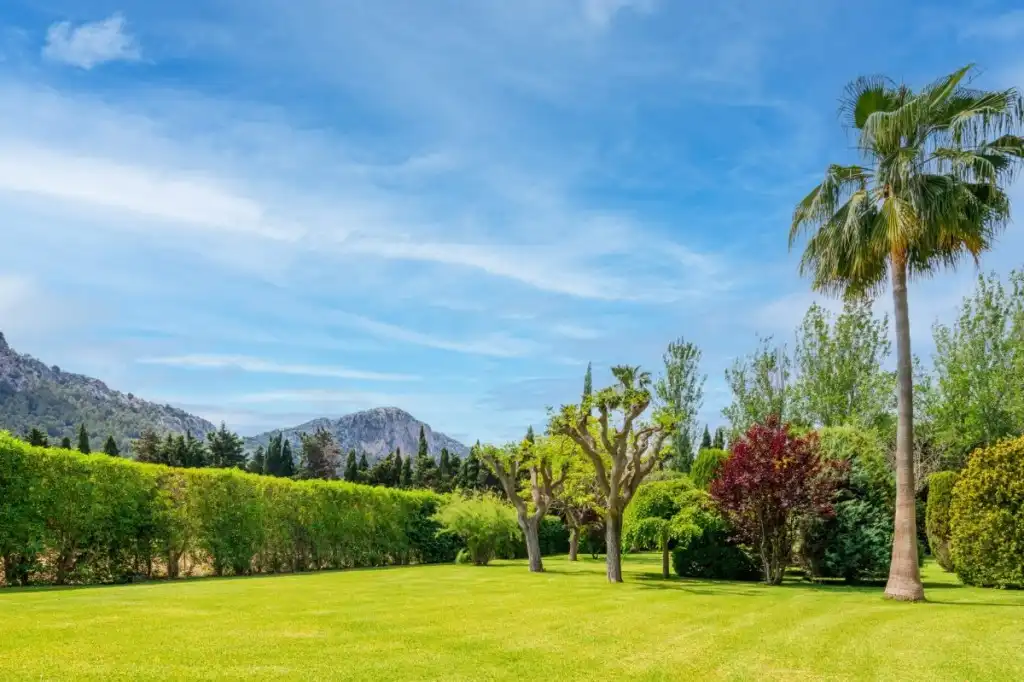 Landhaus mit Pool zum Verkauf in Pollença Poble, imagen 7