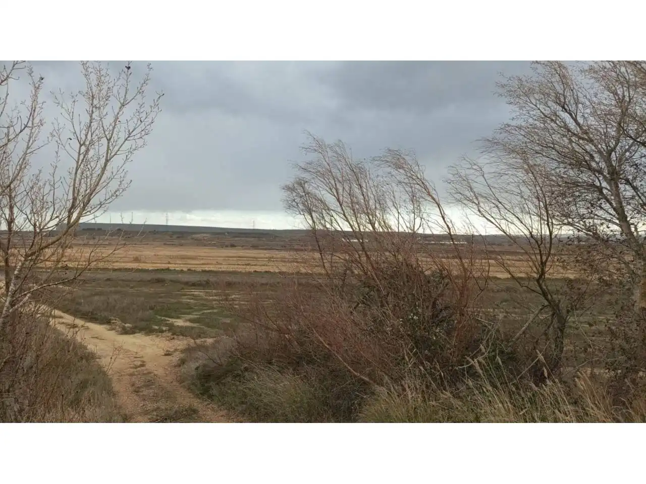 Land for sale in Alcolea de Cinca
