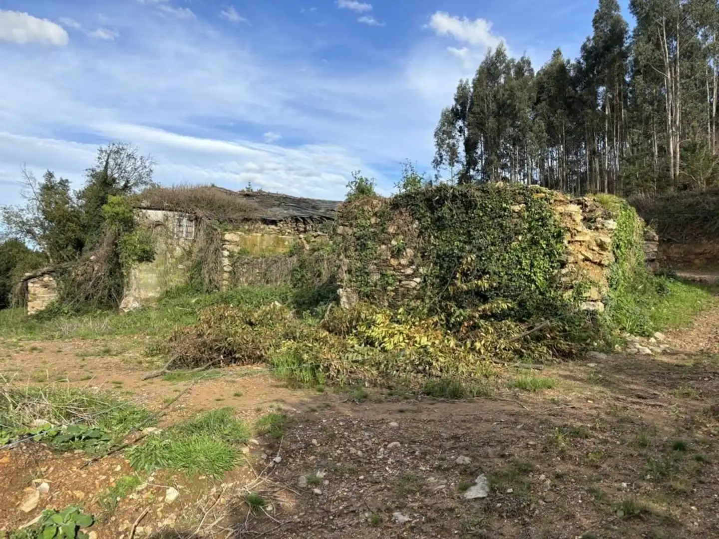 Country homes for sale in Ortigueira  with Private garden, Terrace and Storage room
