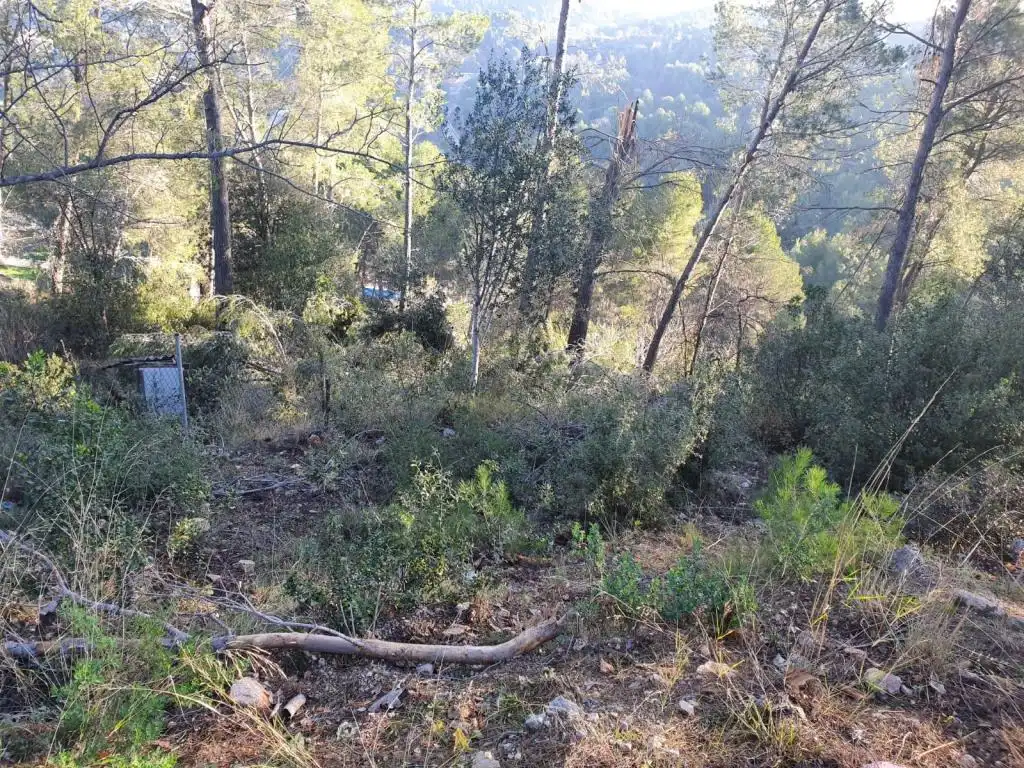 Terreny rústic en venda a SANTA MARIA DE LAVALL, imagen 5