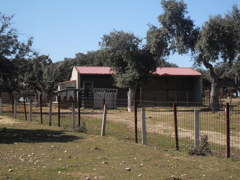 Vista exterior de Finca rústica en venda en Palacios del Arzobispo