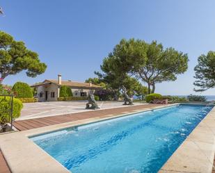 Piscina de Casa o xalet en venda en Alcúdia amb Aire condicionat, Jardí privat i Terrassa