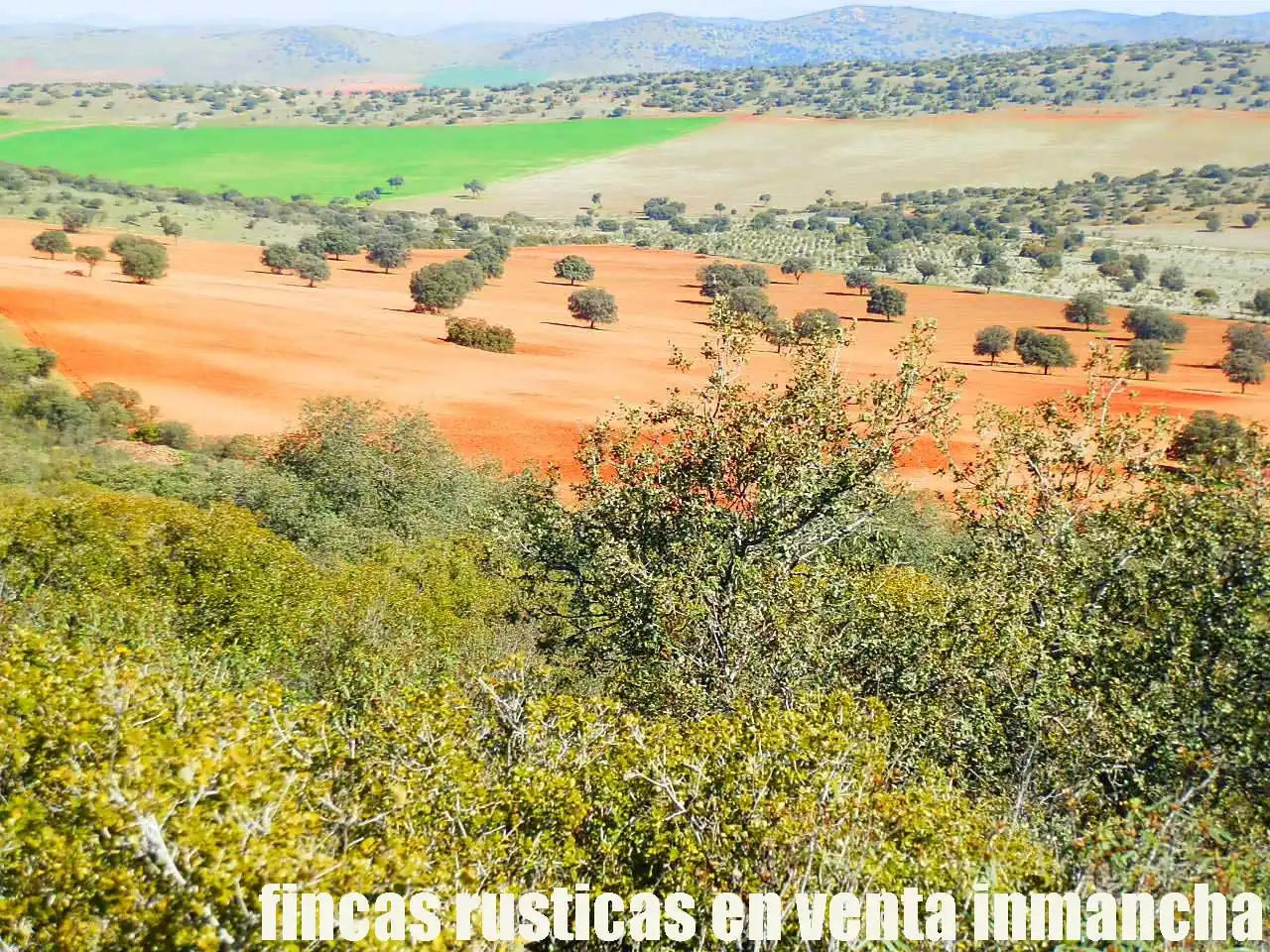 Terreno rustico in vendita a Aldea del Rey, imagen 11