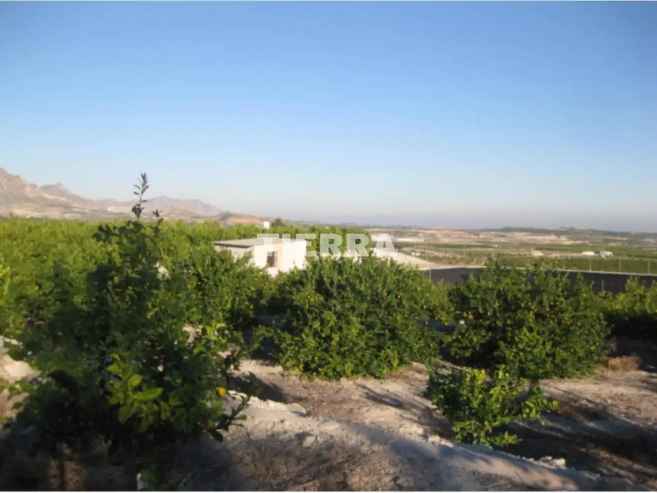 Lands and plots for sale in Poligono El Semolilla, imagen 2