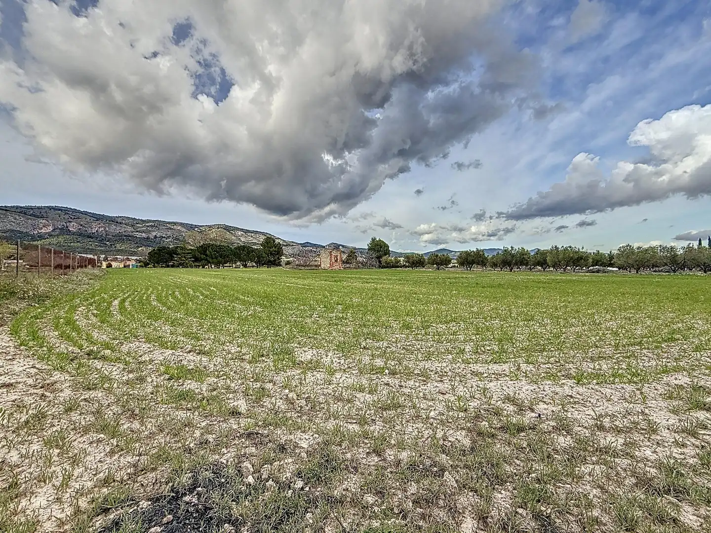 Rural land for sale in Partida Polígono 12 Parcela 103 CAÑARETS. ONIL (ALICANTE, imagen 9