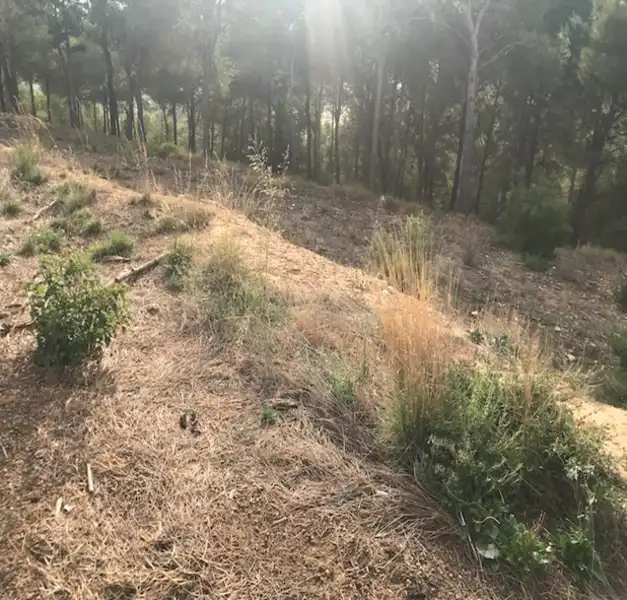 Terreny residencial en venda a Calle B Cerdera Alta, imagen 3