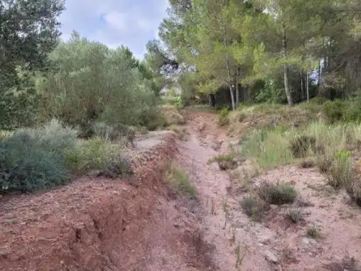 Terrain rustique à vendre à Pt La Costera de Játiva, imagen 10