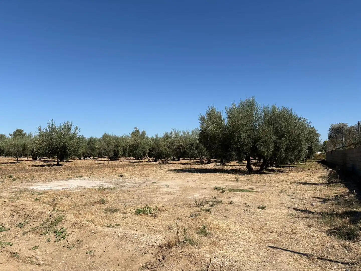 Rural land for sale in Villa de Otura, imagen 2