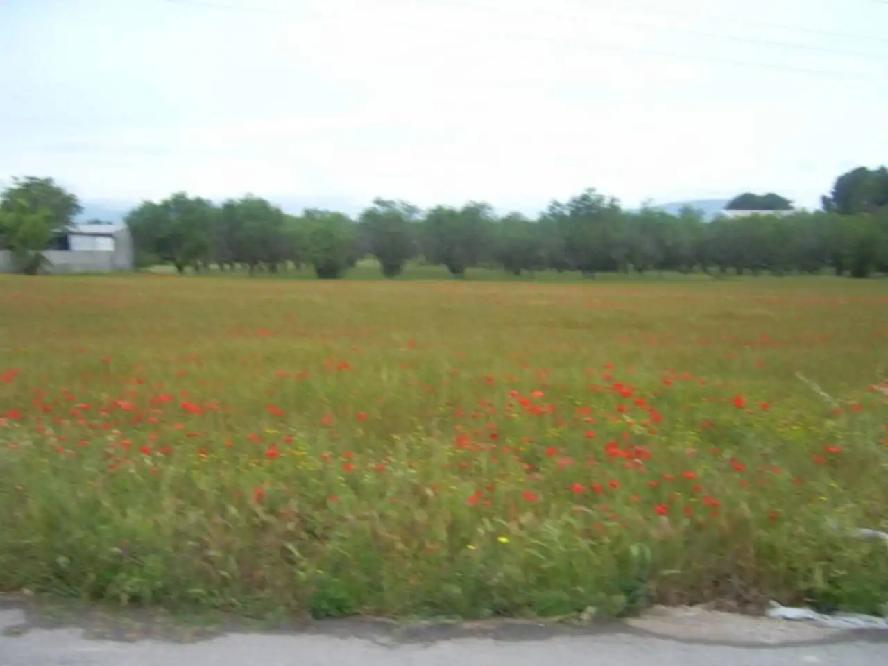 Terreny residencial en venda a Calle CTRA. VALLS-PUIGPELAT