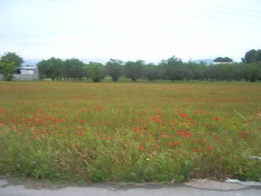 Terreny residencial en venda a Calle CTRA. VALLS-PUIGPELAT