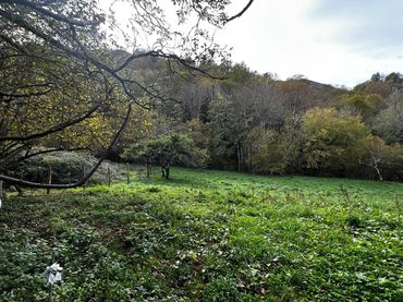 Terreny residencial en venda a Cangas de Onís