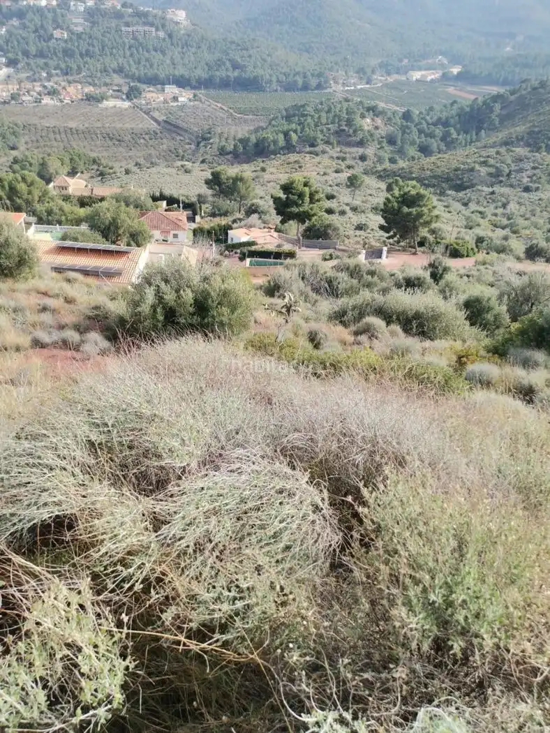 Terreny rústic en venda a Plaça Poligono 7 76, imagen 6