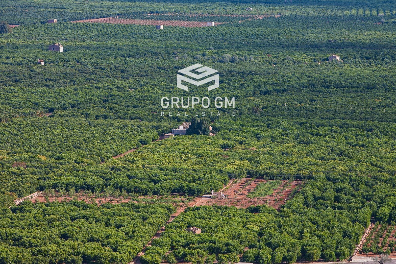 Land for sale in  Valencia Capital