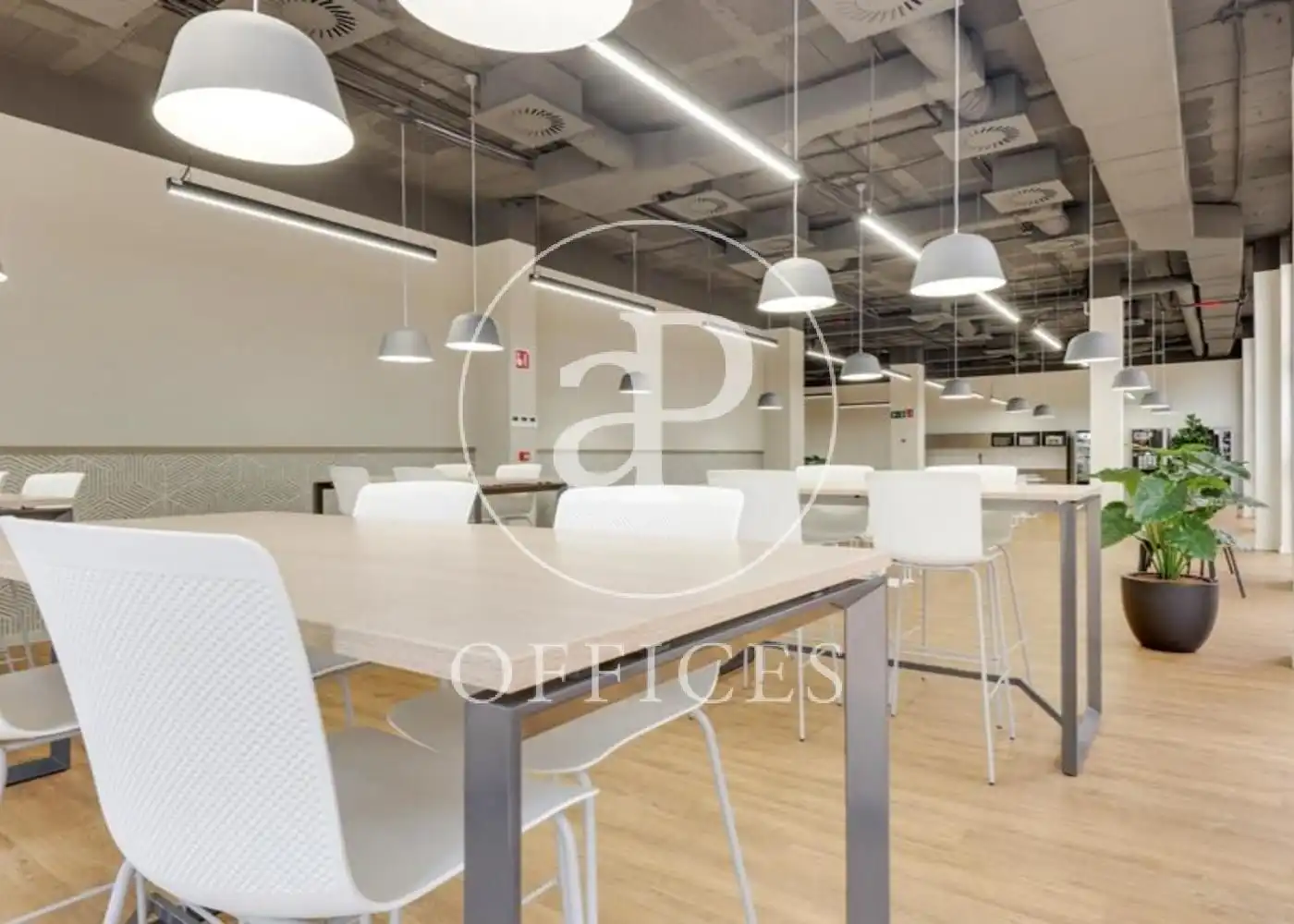 Office space with lift to rent in Carrer la Selva, imagen 12