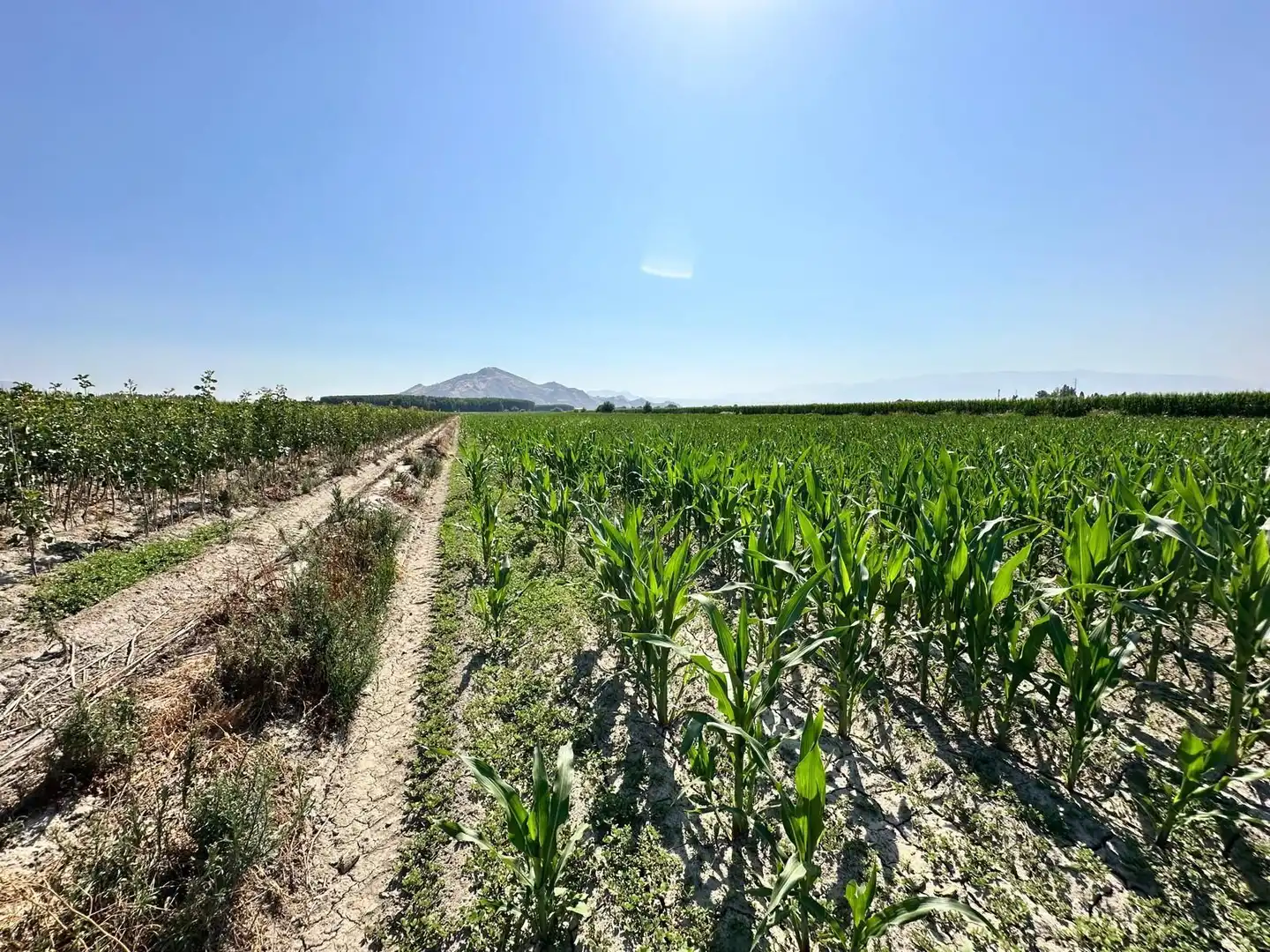 Grundstücke und Bauplätze zum Verkauf in Fuente Vaqueros, imagen 6
