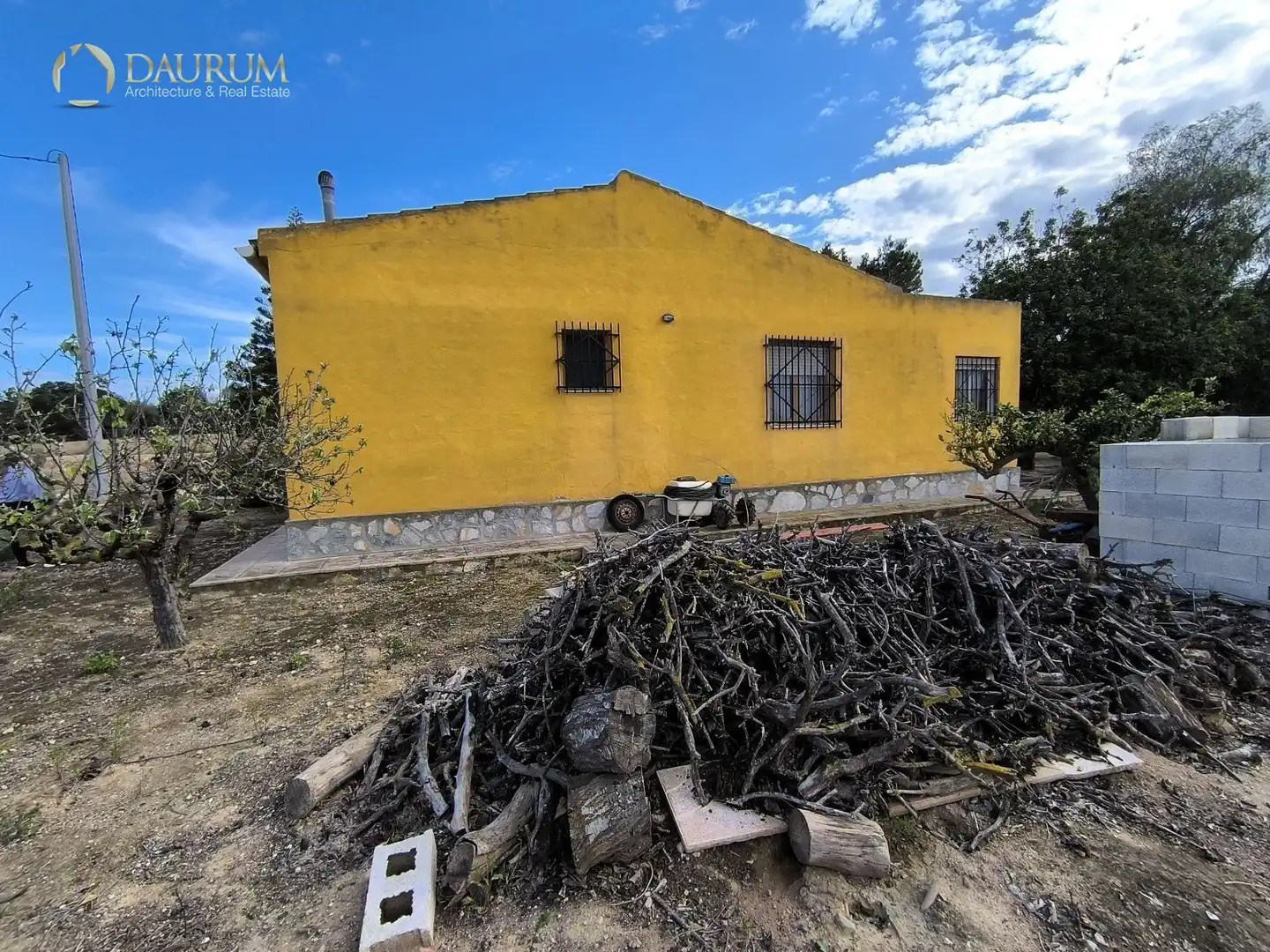Vista exterior de Casa o chalet en venta en Elche / Elx