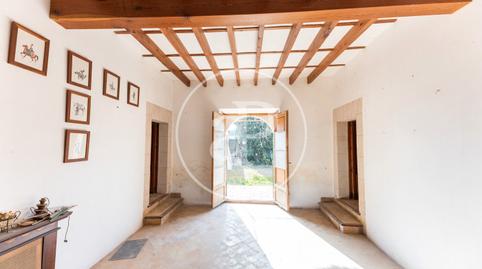 Foto 2 de Finca rústica en venta en C. 14, Archena, Murcia