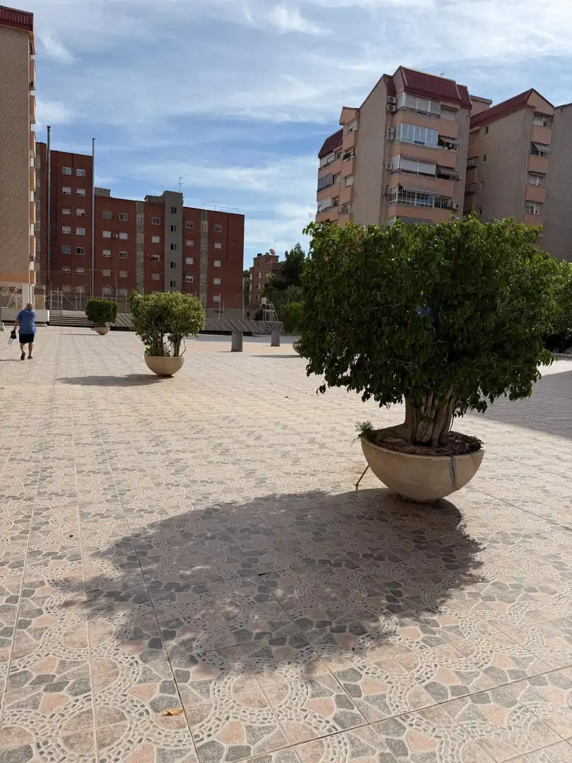 Pis amb terrassa de lloguer a Sur, imagen 22