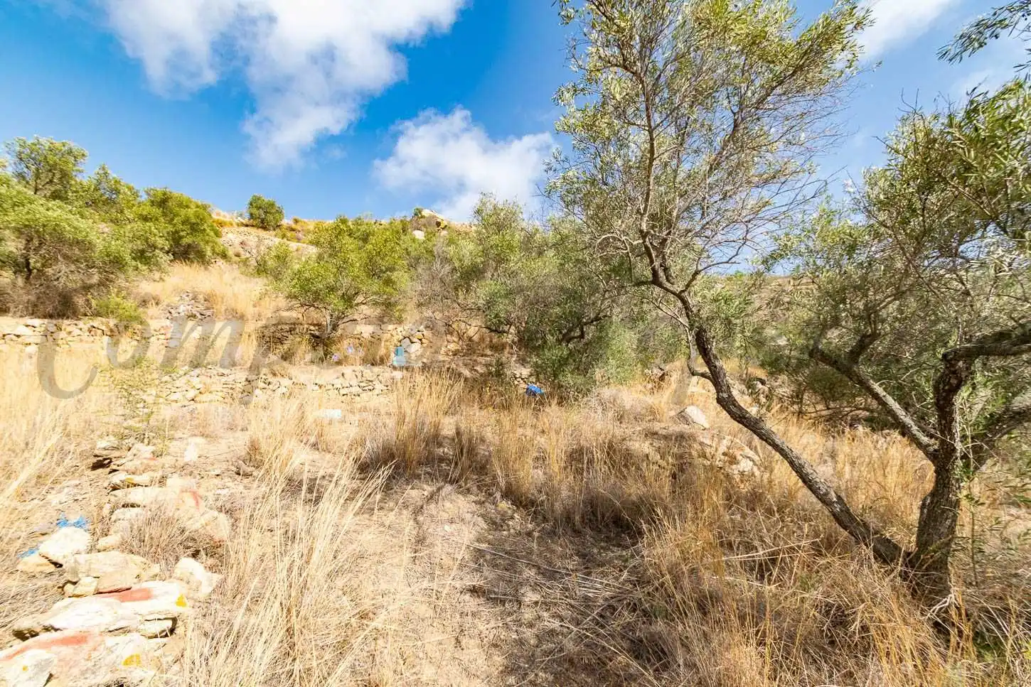 Terreno rústico en venta en Torrox Pueblo, imagen 12