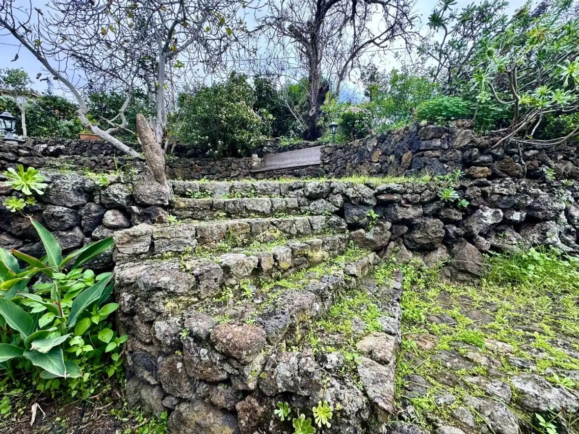 Jardí de Finca rústica en venda en Icod de los Vinos amb Terrassa