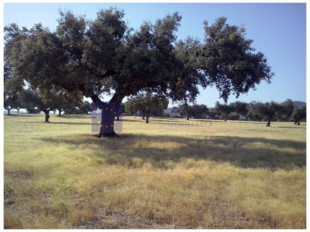 Finca rústica en venda en La Cumbre 